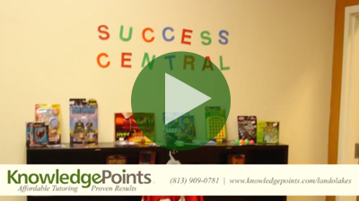 Knowledge Points Success Central Tutoring